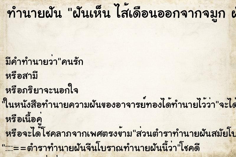 ทำนายฝัน ฝันเห็น ไส้เดือนออกจากจมูก ฝันว่าไส้เดือนออกจากจมูก